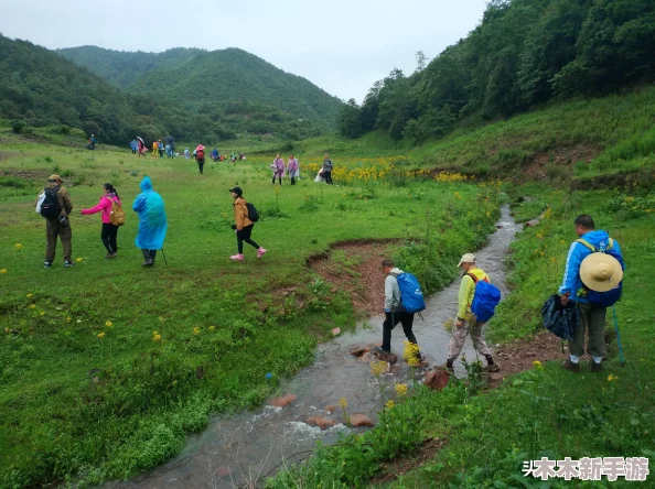 小女孩仙踪林：奇幻冒险与友谊的旅程，带你走进梦幻世界的神秘角落