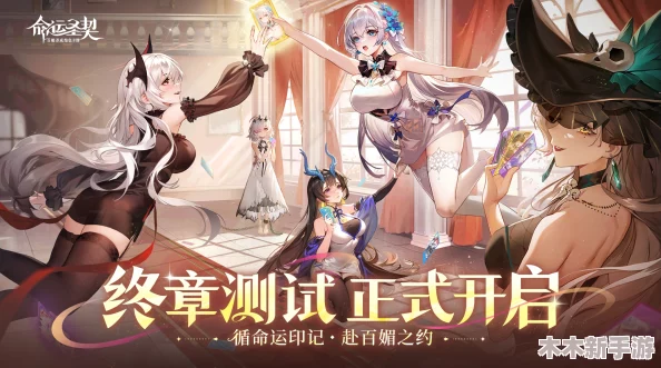 《命运圣契》高效战斗阵容搭配策略与角色协同指南