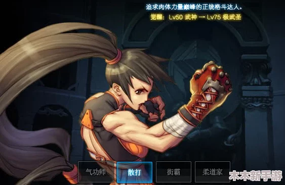 DNF武神职业流派对比：探寻哪个技能体系伤害输出更胜一筹