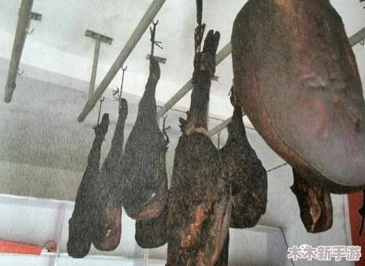 女巫之火：融合肉鸽构筑精髓的FPS撤离模式，极致体验重塑射击游戏新风尚