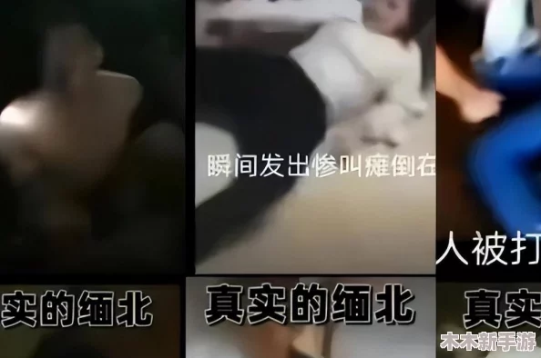 雅典娜视频完整版高清缅北往生录：深刻反映人性与命运的震撼之作