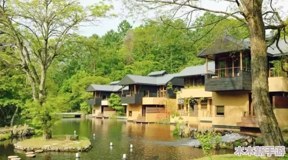 “亚洲怡春院”网友热评：体验独特，仿佛置身于梦幻的东方桃源