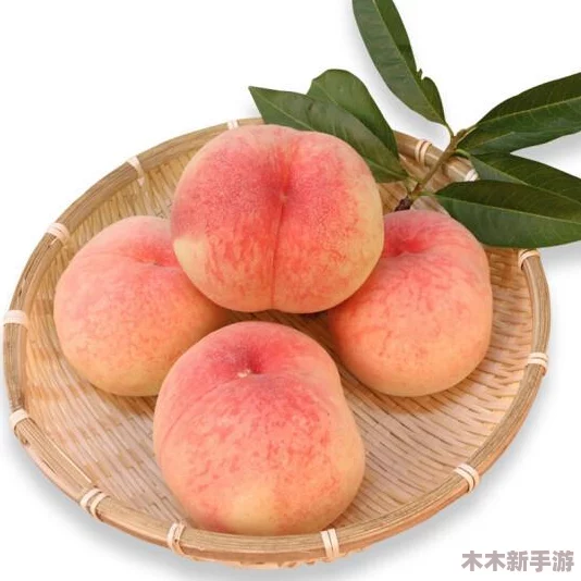 水蜜桃一二三区-夏日狂欢，果香四溢，甜美诱人