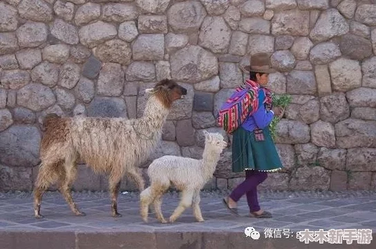 纳西妲被丘丘人抓去繁衍后代，令人震惊的设定引发了广泛讨论与思考