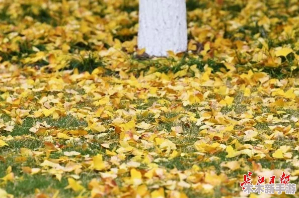 黄色片黄色片黄色的，绝对让人看了心情愉悦，忍不住想要一直观赏