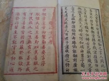 第四章紫色符正确图片和文字图片，热门词：解析、教程、技巧