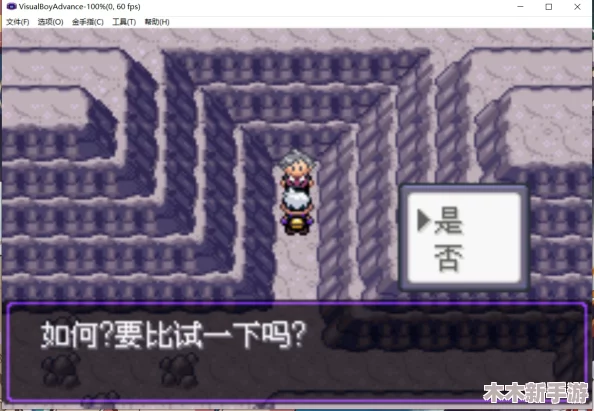 口袋妖怪漆黑的魅影二周目攻略：解锁隐藏传说精灵，成为真正的神奇宝贝大师！