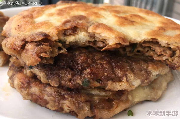 萧氏美酥肉饼96：让你垂涎欲滴的传统美食，口感绝佳、回味无穷！