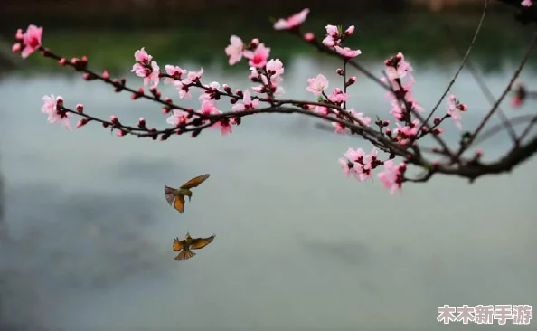 校园的公共玩具小诗：在童趣与友谊交织中，感受无尽欢乐与纯真时光的美好瞬间