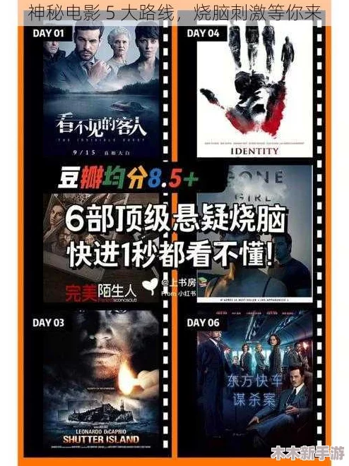 神秘电影5条路径建议截图保存，精彩纷呈，不容错过