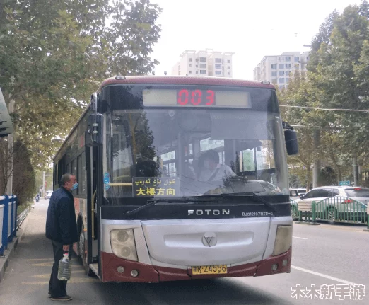 免费下载安装《杨大壮和田桂花的公交车》，强烈推荐给你！