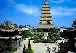 清风阁视频我爱干，热门综艺节目大揭秘