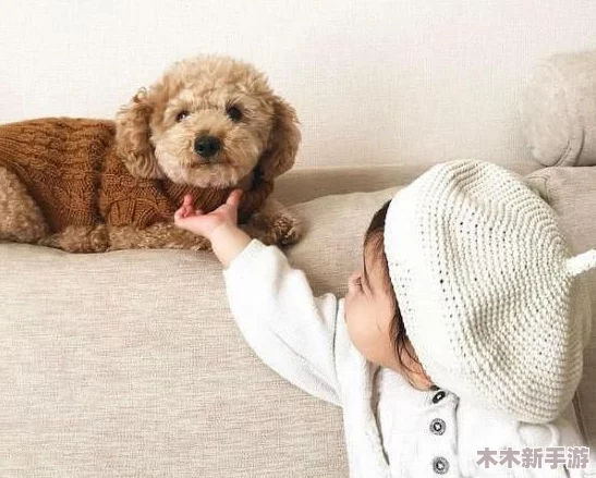 我的狗老公拉婆婆一起贴吧：这是我见过最有趣的帖子，笑到肚子疼！