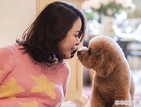我的狗老公拉婆婆一起贴吧：这是我见过最有趣的帖子，笑到肚子疼！
