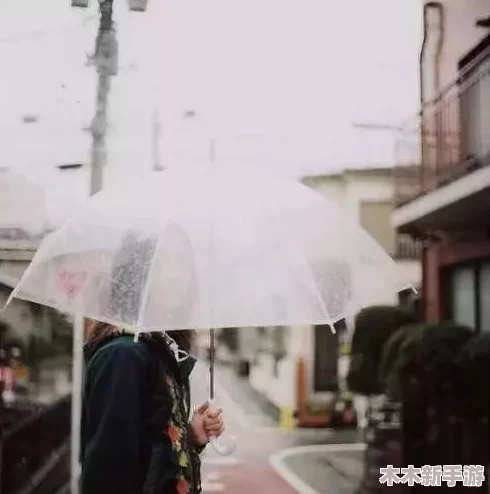 一个晚上用了七个小雨伞，感受秋季浪漫与温暖的奇妙旅程