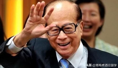 口袋妖怪叶绿高效赚钱技巧与策略分享指南