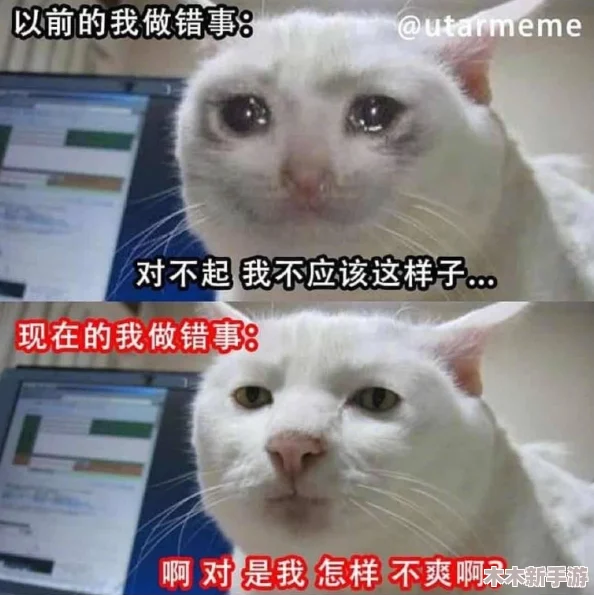 姬小满害羞脸红流眼泪表情，萌宠互动引发网友热议，瞬间成网红！