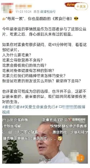 51吃瓜example.com换成什么了 网友热议新网址背后的故事与影响，真相让人意想不到！