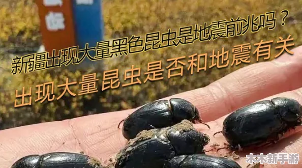 九色91POPNY 蝌蚪新疆:网友热评9.5分,探寻独特美味之旅 九色91POPNY 蝌蚪新疆:网友热评9.5分,探寻独特美味之旅