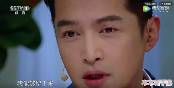 张津瑜 盘：独特风格与深厚内涵的完美结合，令人耳目一新