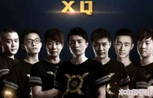 FLY选手所属王者荣耀战队全面揭晓
