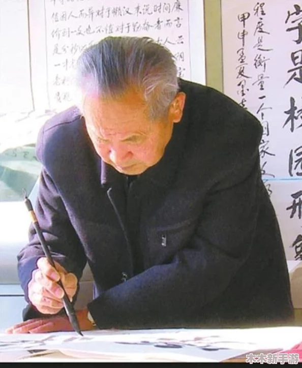 国外黄冈推广网站：用户反馈与使用体验的全面评估与分析