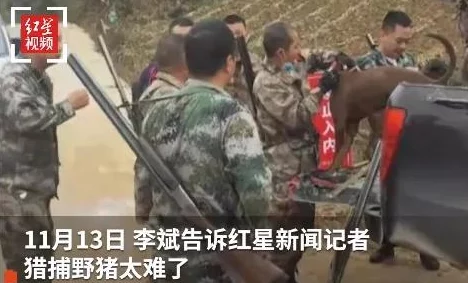 你胖你先吃挑战升级：与好友单挑新玩法全攻略解析