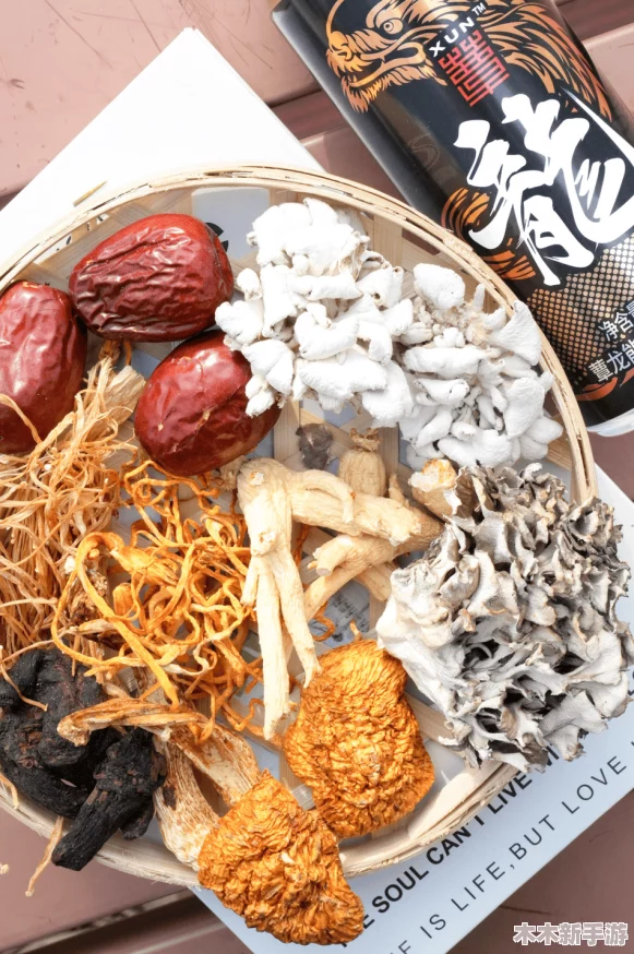 国精产品无人区一码二码三蘑菇：畅享健康美食新风潮，开启味蕾的奇妙之旅