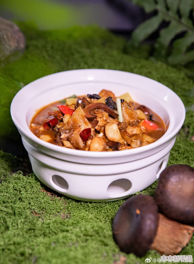 国精产品无人区一码二码三蘑菇：畅享健康美食新风潮，开启味蕾的奇妙之旅
