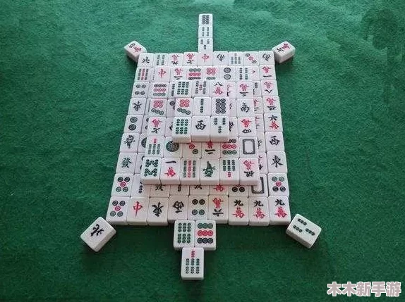 打扑克免费又疼,德州扑克大师的秘密武器：心理战术与技巧全面解析