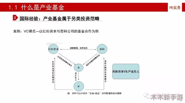 九幺黄高危风险91：深度分析其潜在影响与应对策略，助力投资者理性决策