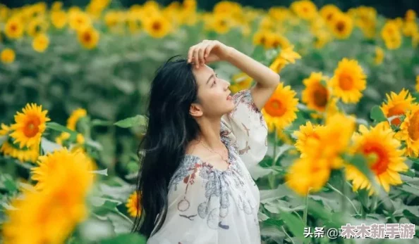 朝阳初升校园1／1h，感受青春活力与梦想交织的美好时光