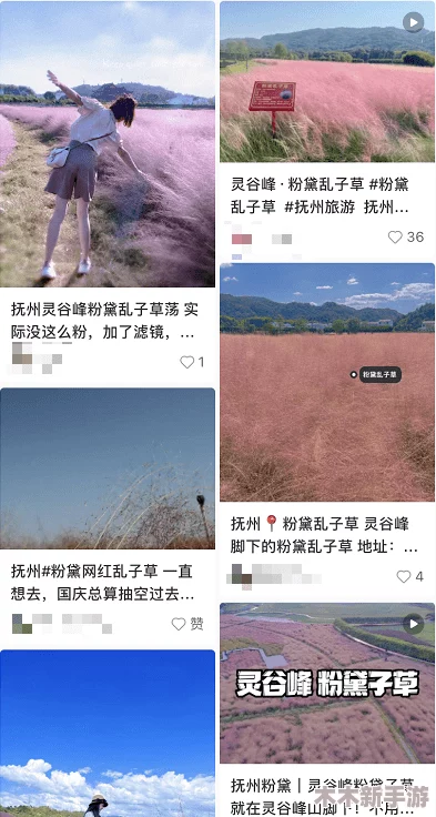 嫩草石隐藏入口：网友热评9.5分，探秘绝美景点的最佳攻略