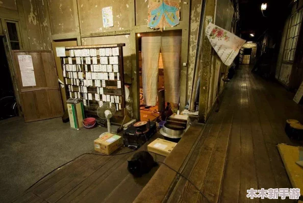 女生去笑刑体验店800字文章：热门趋势、实地体验分享