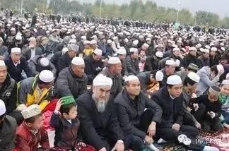 今天的客人特别大讲述：令人惊叹的故事与深刻的人生启示，让人回味无穷