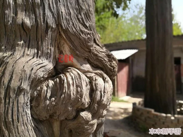 乳房一阴一阳的由来和传说：古代神话与现代文化交织的奇妙故事
