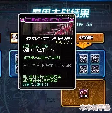 DNF游戏中卡片与宝珠价格对比：哪个更昂贵且更具收藏价值？
