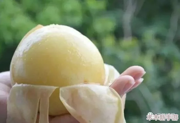 97密桃：神秘、惊人的发现，引爆全球热议