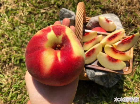 97密桃：神秘、惊人的发现，引爆全球热议