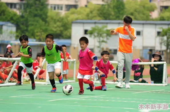 2024年精选小朋友热门游戏大全，探索孩子们最爱的趣味游戏合集