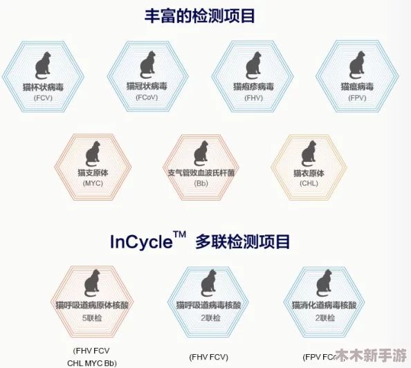 如何下载抖阴：用户体验与安全性分析，值得一试的应用选择！