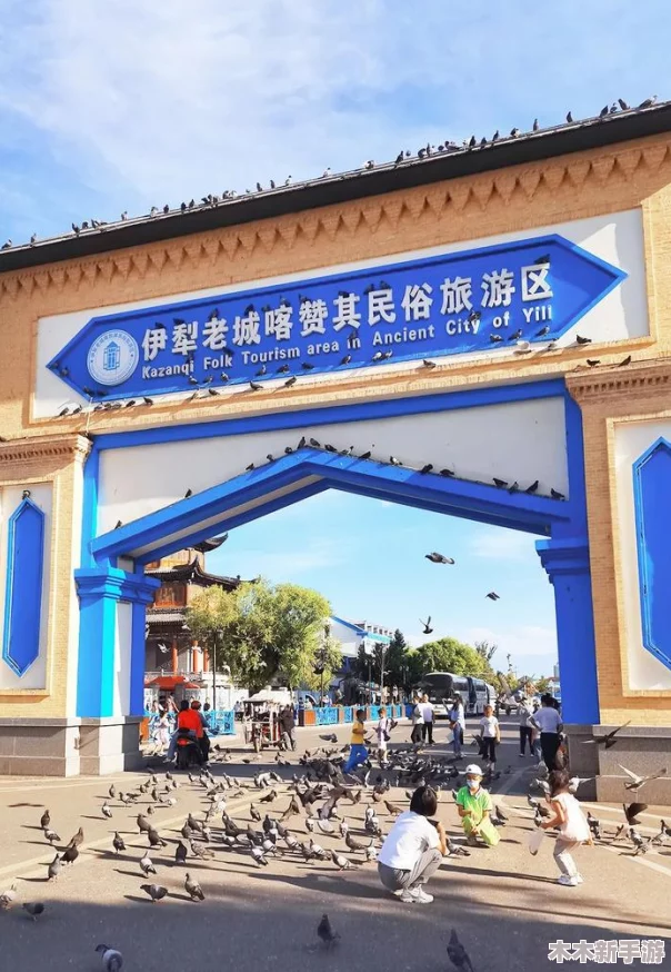 伊犁园20233秒转入：快速便捷的服务体验，值得一试！