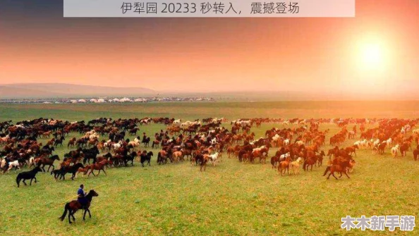 伊犁园20233秒转入：快速便捷的服务体验，值得一试！