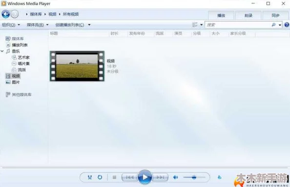 中国高清windows视频的特点：流畅播放、画质细腻与多样化内容引领视听新体验