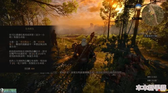 巫师2：解锁游戏世界的终极奥秘，掌握前所未有的强大能力