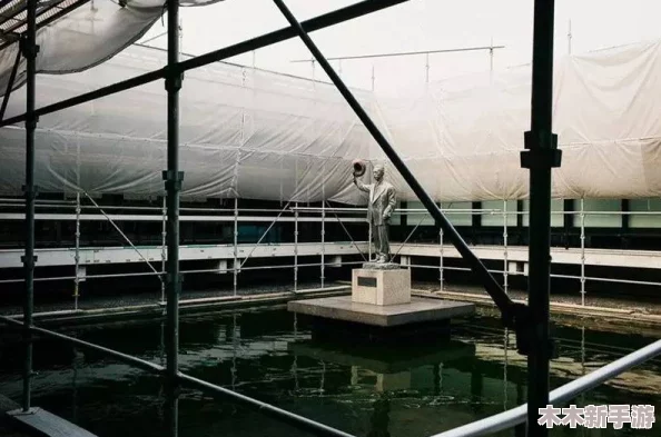 一个上面吃一个下的动态：展现了生活中微妙的平衡与互动，令人深思