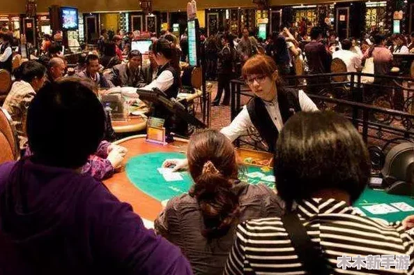 威9国际已满18免费威尼斯，用户评价：体验真实赌场氛围，游戏丰富多样