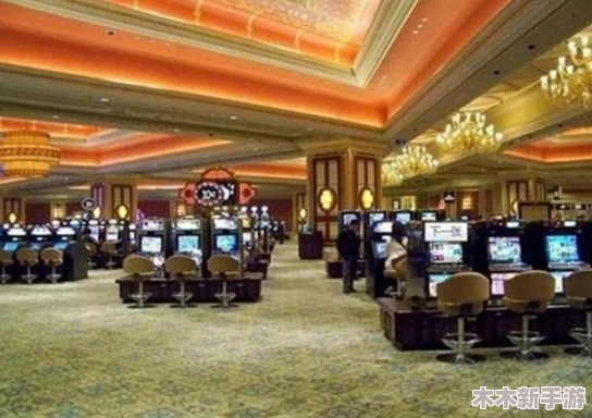 威9国际已满18免费威尼斯，用户评价：体验真实赌场氛围，游戏丰富多样