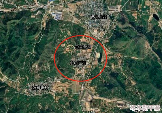 国产精产国品一二三产区：助力乡村振兴与可持续发展的新机遇