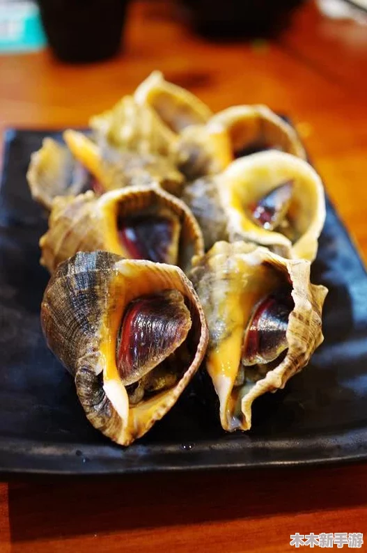 《江湖悠悠》游戏中高效提升角色根骨技巧与策略汇总